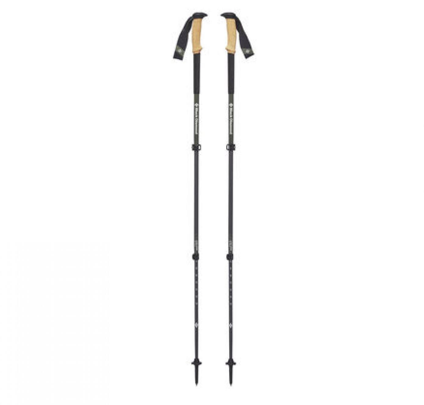 Black Diamond Alpine Carbon Cork Trekking Poles (2019)