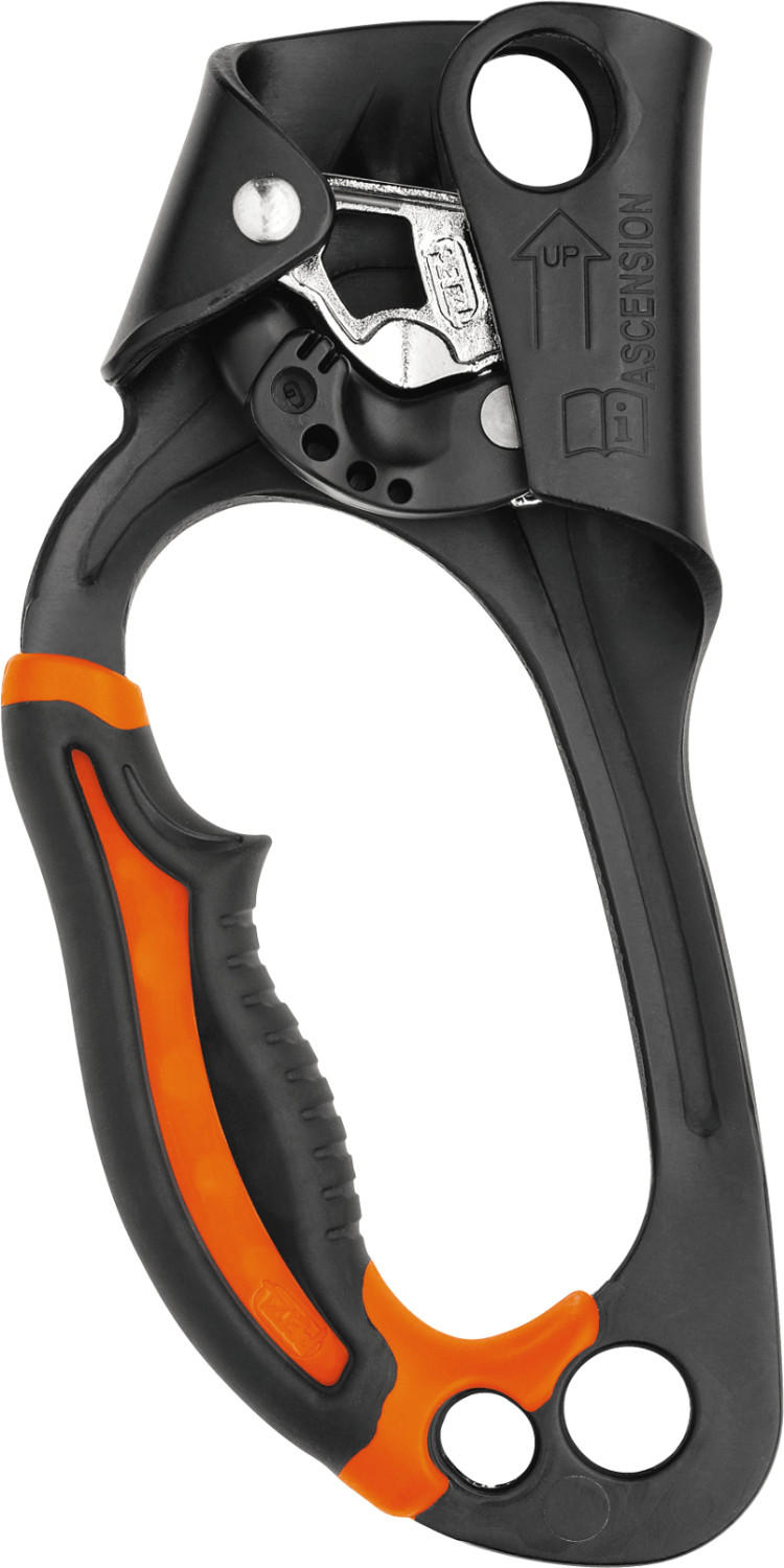 Petzl Ascension