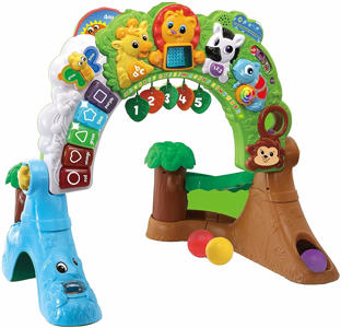 LeapFrog Learning Safari Playspace