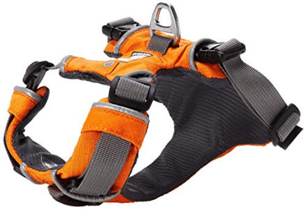 Ruffwear Front Range Harness