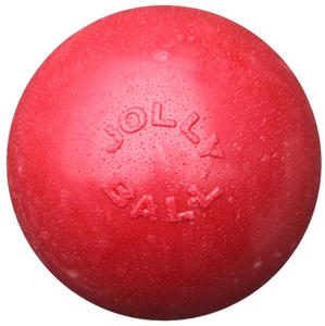 Jolly Pets Jolly Ball Bounce-N Play