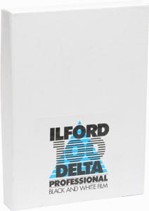 Ilford Delta 100 8x10