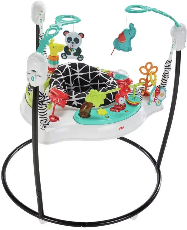 Fisher-Price Animal Wonders Jumperoo