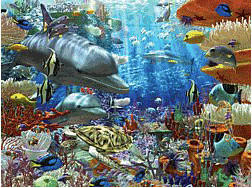 Ravensburger Oceanic Wonders