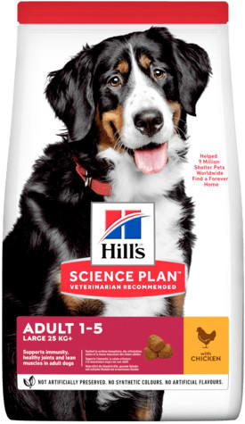 Hill's Science Diet Canine Adult Large Chicken Dry 14kg