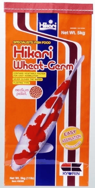 Hikari Wheat-Germ medium