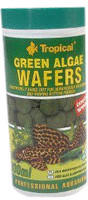 Tropical Green Algae Wafers