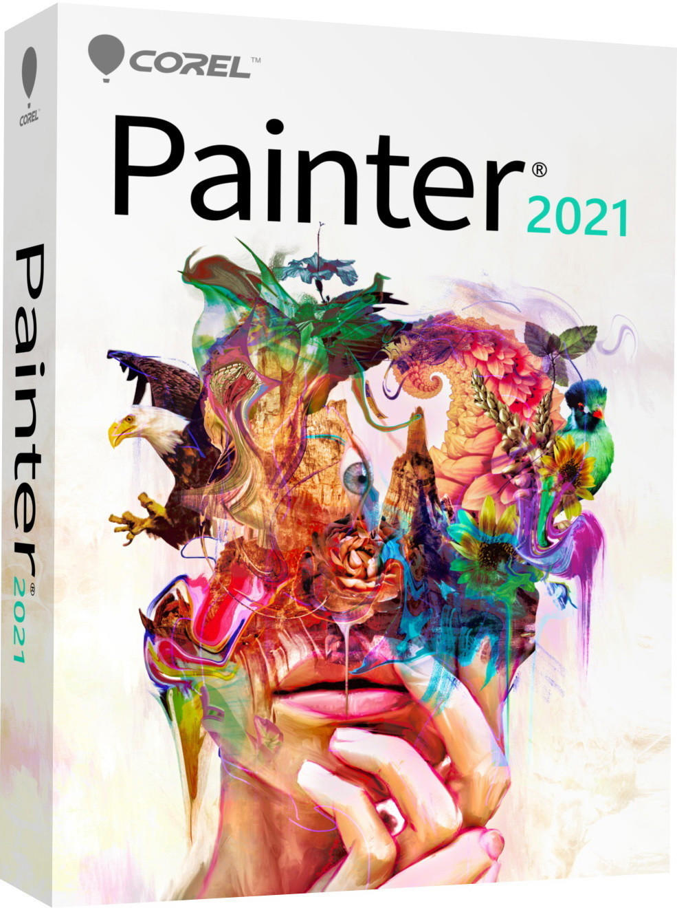 Corel Painter 2021